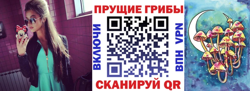 shop клад  где найти наркотики  Симферополь  Галлюциногенные грибы прущие грибы 
