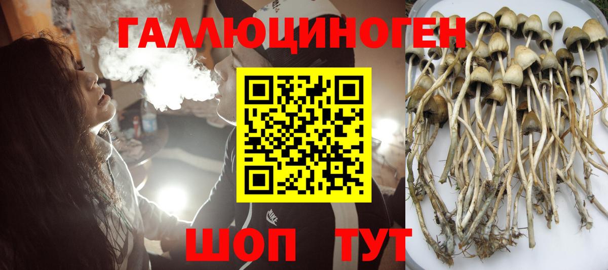Симферополь  Псилоцибиновые грибы Cubensis  Вход с VPN 