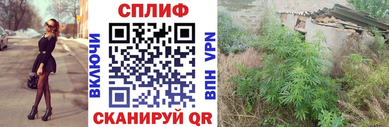 Шишки марихуана ГИДРОПОН  Симферополь 